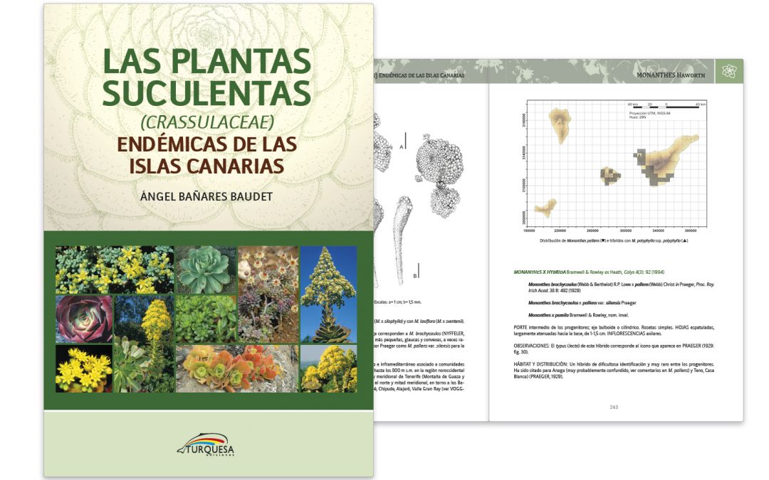 Plantas Suculentas de Canarias