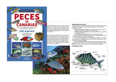 Guía práctica de los Peces de Canarias